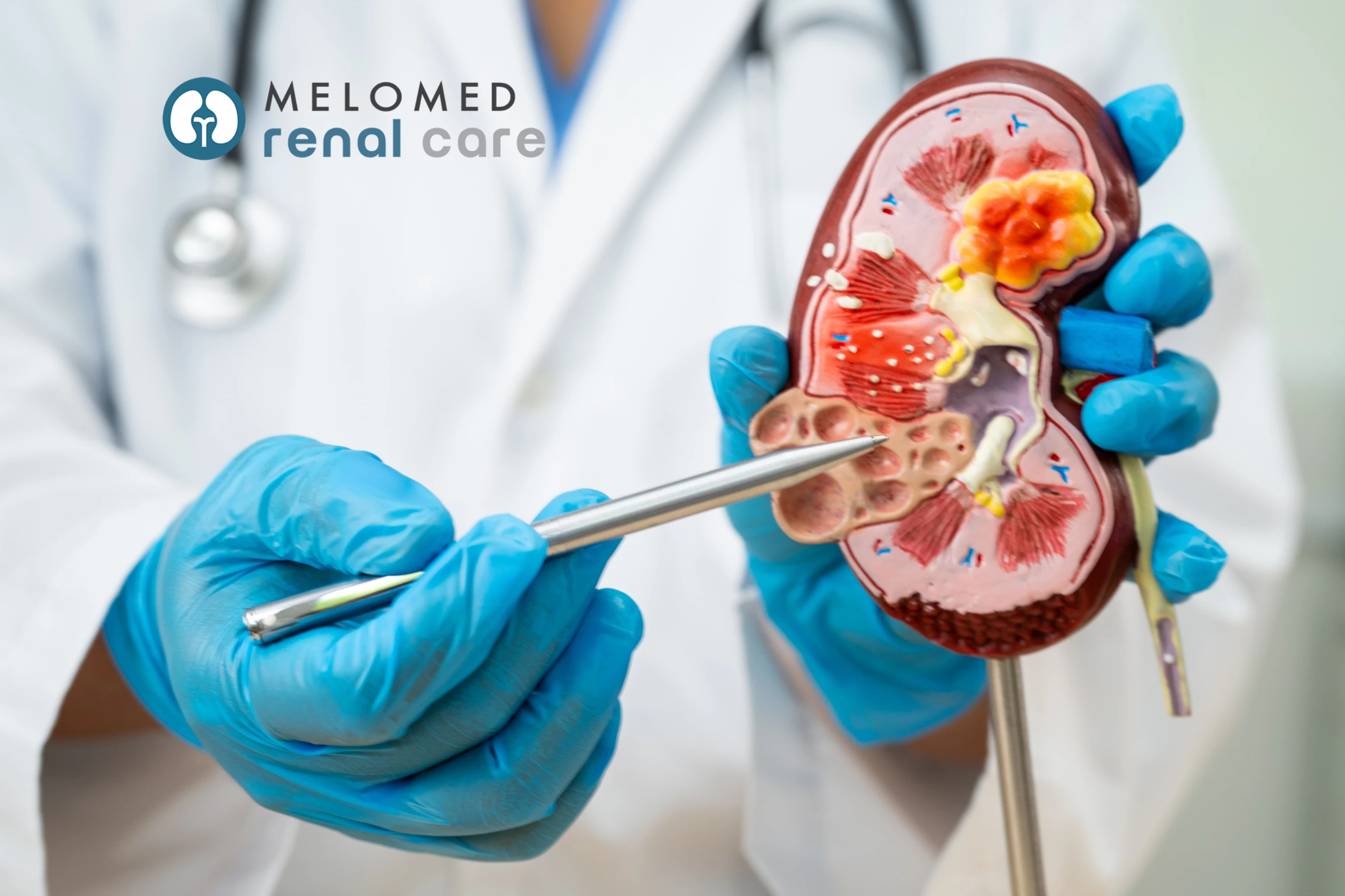 Melomed Renal Care